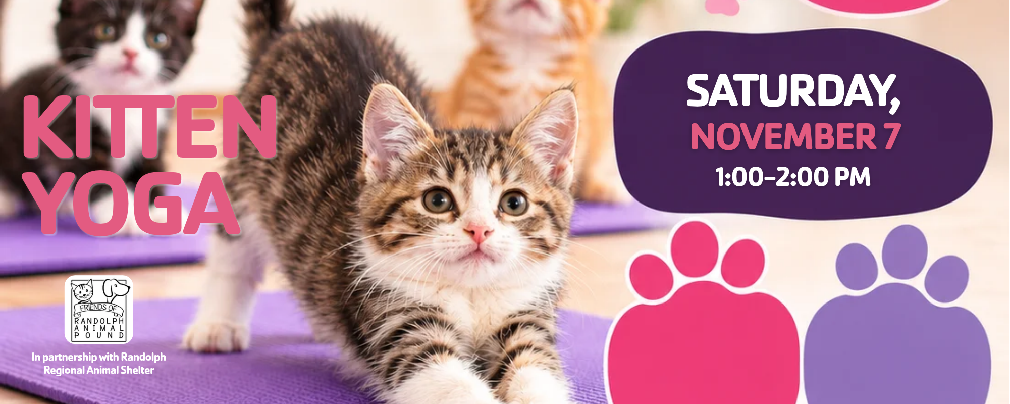 https://www.wmaymca.org/sites/default/files/revslider/image/Kitten%20Yoga%20%2812.5%20x%207%20in%29%20%2810%20x%204%20in%29.png